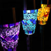 Solar Garden Light